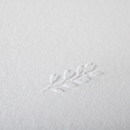 Faire-part de mariage Vierge Branche