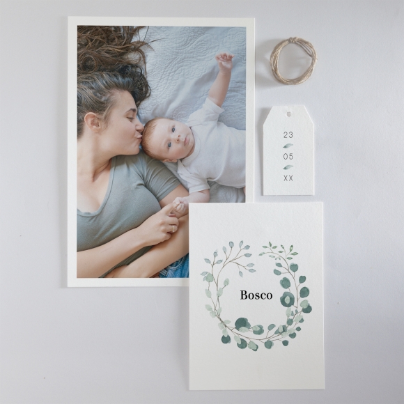 Faire-part de naissance Eucalyptus