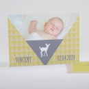 Faire-part de naissance Triangle paysage