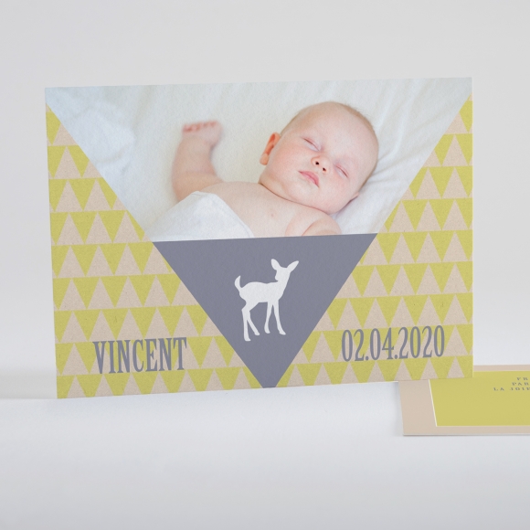 Faire-part de naissance Triangle paysage