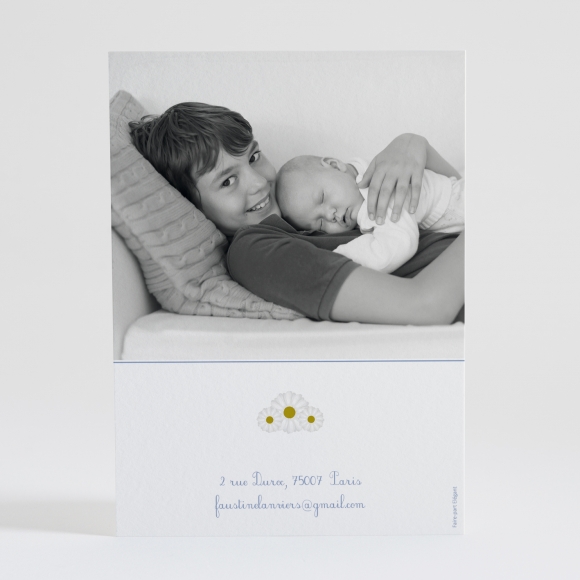 Faire-part de naissance Jolies marguerites