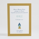 Faire-part de naissance Motif graphique simple