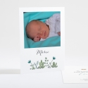 Remerciements naissance Spring baby boy