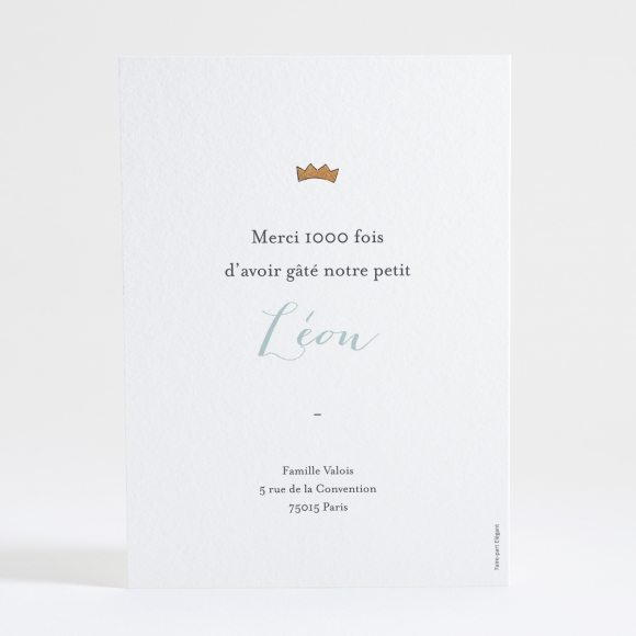 Remerciements naissance Spring baby boy