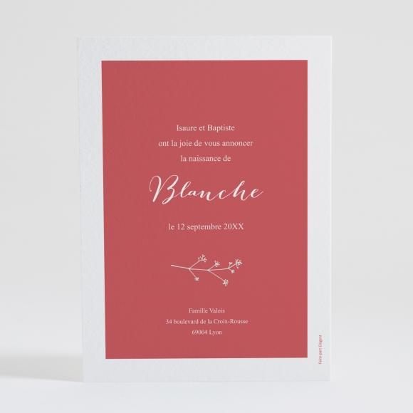Faire-part de naissance Multitude