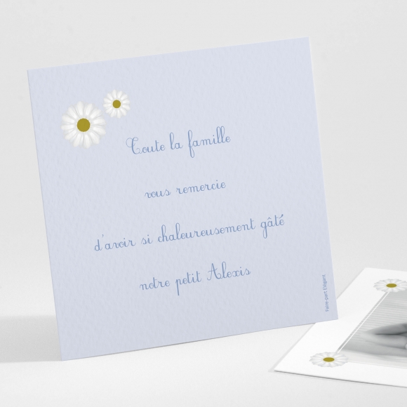 Remerciements naissance Jolies marguerites
