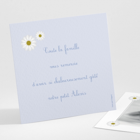 Remerciements naissance Jolies marguerites