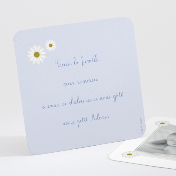 Remerciements naissance Jolies marguerites