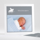 Faire-part de naissance Le petit chevalier