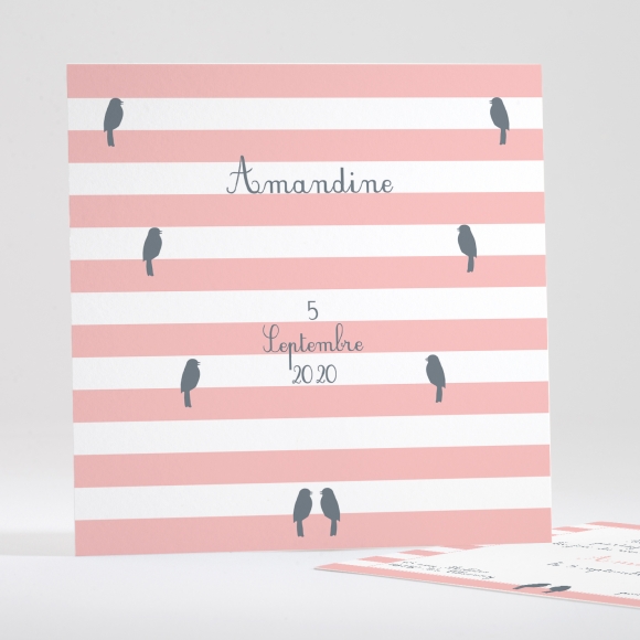 Faire-part de naissance Portée d'oiseaux