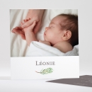 Faire-part de naissance Branche de pin