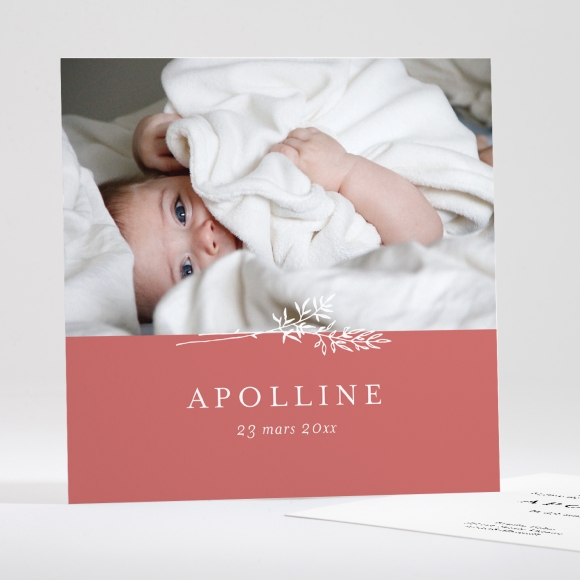 Faire-part de naissance Doux brin