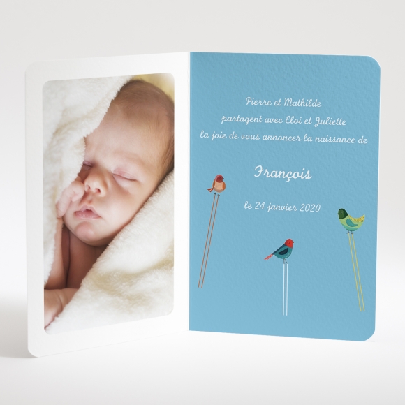 Faire-part de naissance Triple oiseaux avec photo