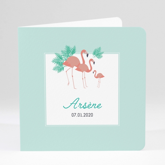 Faire-part de naissance Flamants