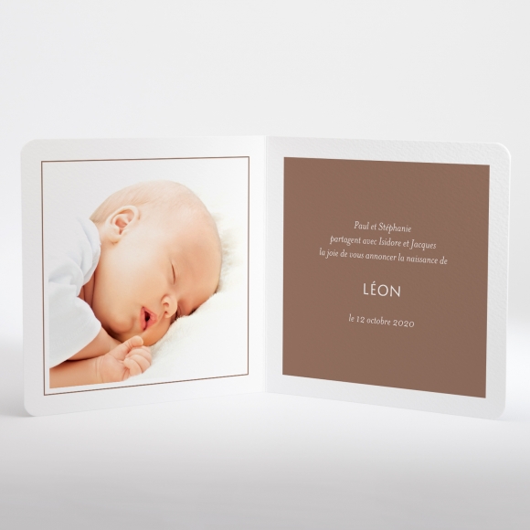 Faire-part de naissance Sweety brothers