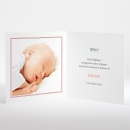 Faire-part de naissance Sweety brothers