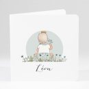 Faire-part de naissance Spring baby boy