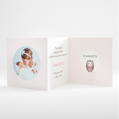 Faire-part de naissance Jolie chouette guirlande