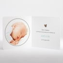 Faire-part de naissance Bébé écureuil